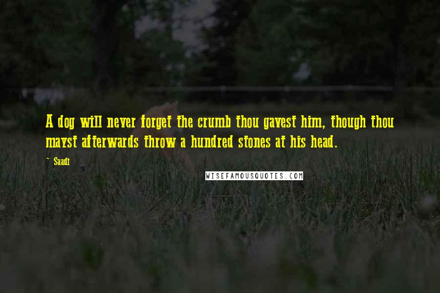 Saadi Quotes: A dog will never forget the crumb thou gavest him, though thou mayst afterwards throw a hundred stones at his head.