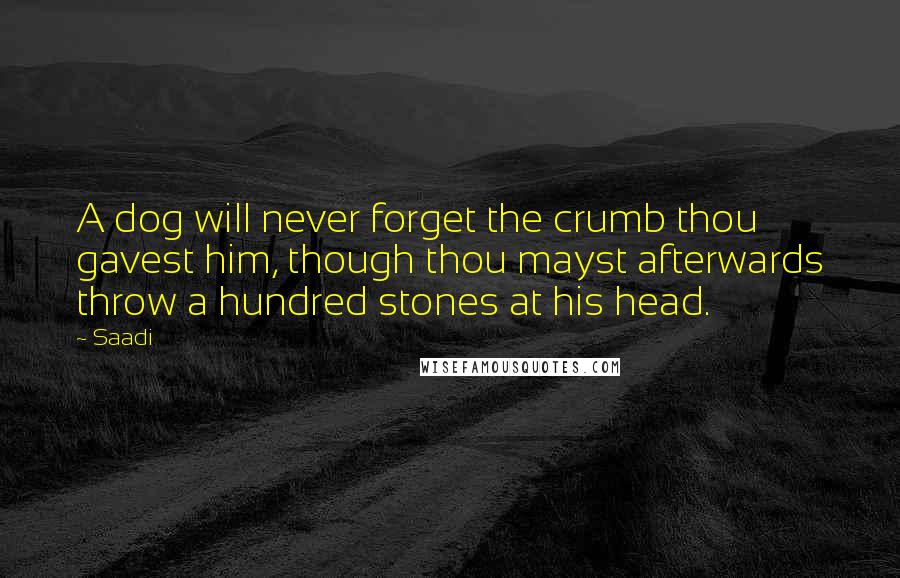 Saadi Quotes: A dog will never forget the crumb thou gavest him, though thou mayst afterwards throw a hundred stones at his head.