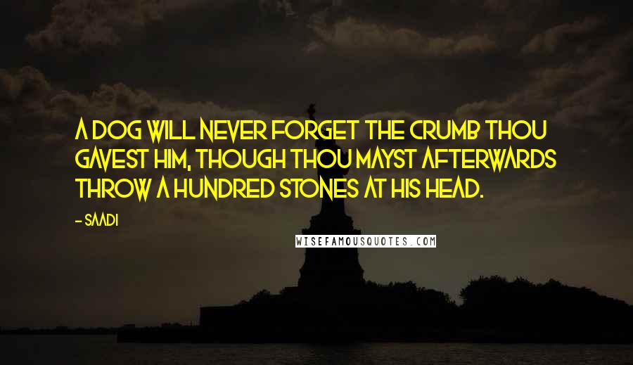 Saadi Quotes: A dog will never forget the crumb thou gavest him, though thou mayst afterwards throw a hundred stones at his head.