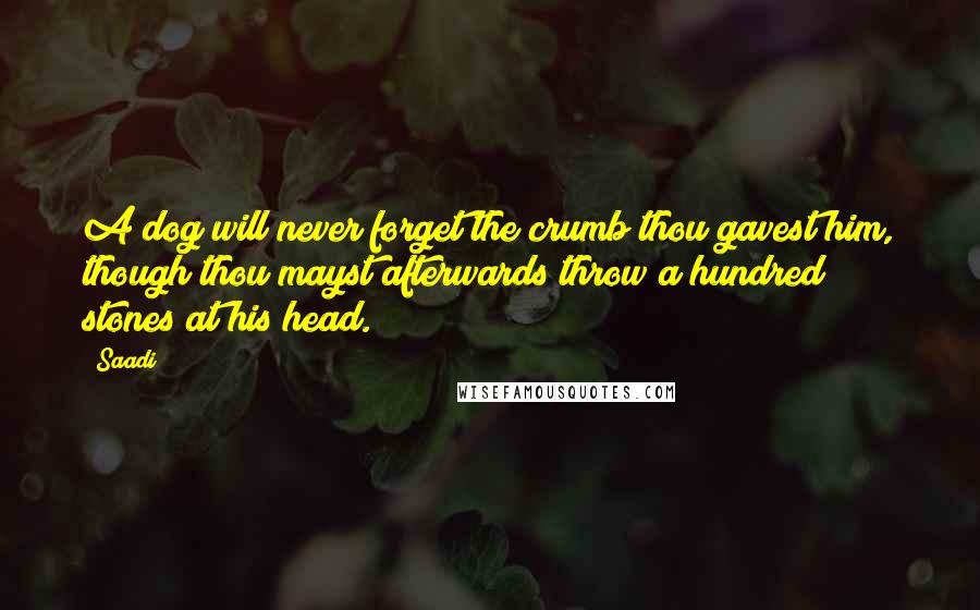 Saadi Quotes: A dog will never forget the crumb thou gavest him, though thou mayst afterwards throw a hundred stones at his head.