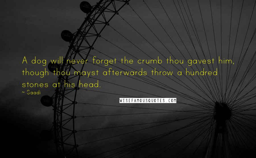 Saadi Quotes: A dog will never forget the crumb thou gavest him, though thou mayst afterwards throw a hundred stones at his head.