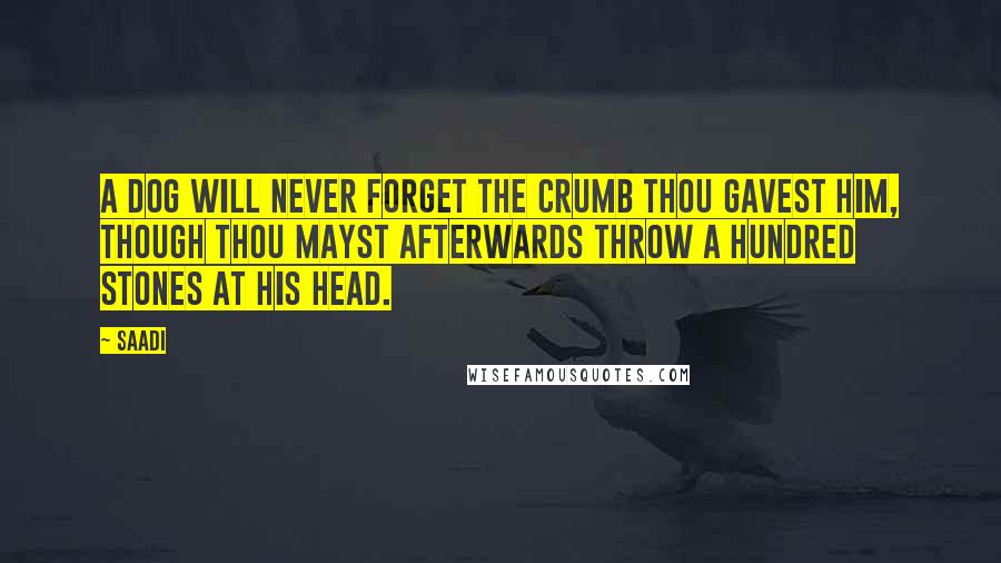 Saadi Quotes: A dog will never forget the crumb thou gavest him, though thou mayst afterwards throw a hundred stones at his head.