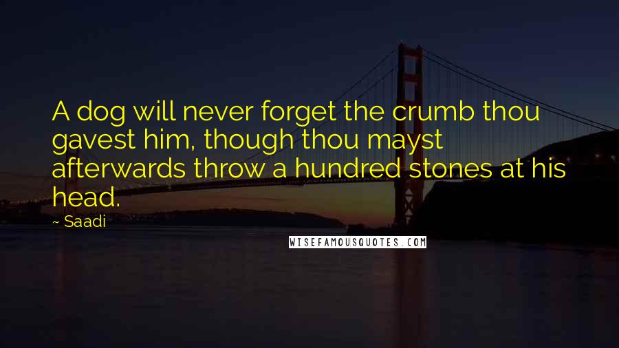 Saadi Quotes: A dog will never forget the crumb thou gavest him, though thou mayst afterwards throw a hundred stones at his head.