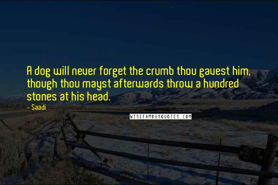 Saadi Quotes: A dog will never forget the crumb thou gavest him, though thou mayst afterwards throw a hundred stones at his head.