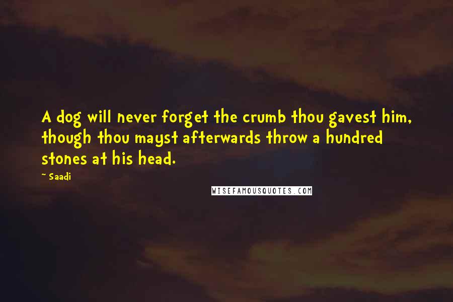 Saadi Quotes: A dog will never forget the crumb thou gavest him, though thou mayst afterwards throw a hundred stones at his head.