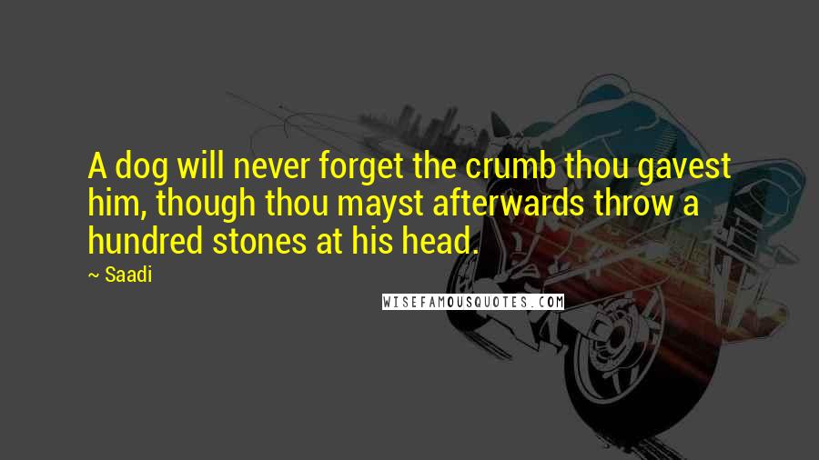 Saadi Quotes: A dog will never forget the crumb thou gavest him, though thou mayst afterwards throw a hundred stones at his head.