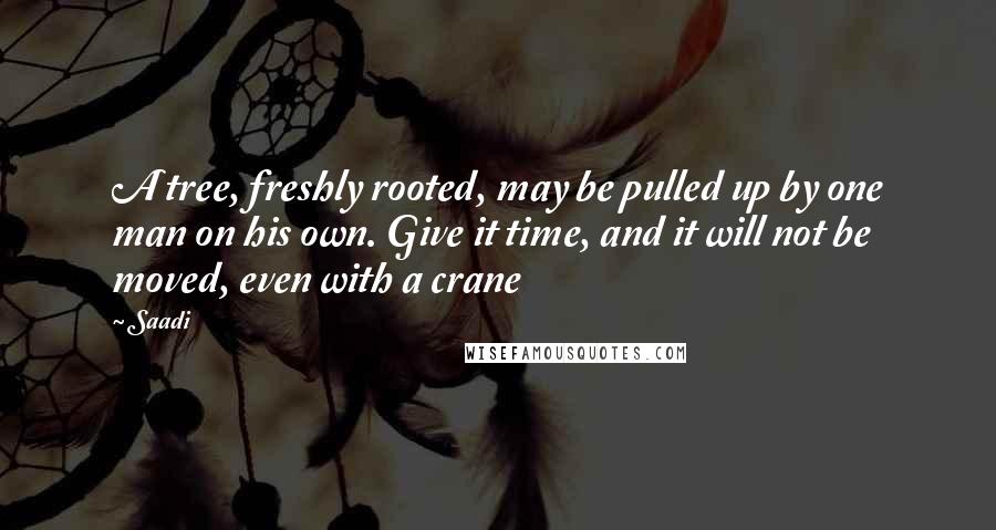 Saadi Quotes: A tree, freshly rooted, may be pulled up by one man on his own. Give it time, and it will not be moved, even with a crane