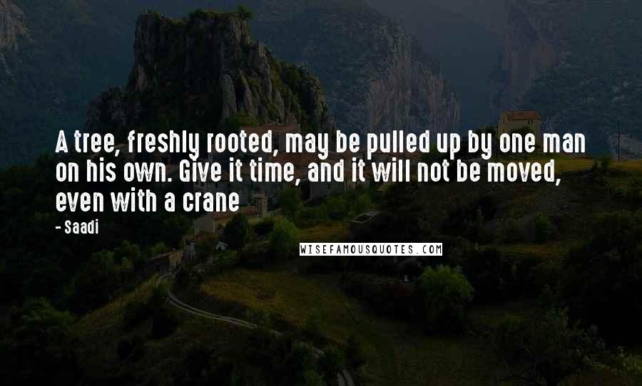 Saadi Quotes: A tree, freshly rooted, may be pulled up by one man on his own. Give it time, and it will not be moved, even with a crane