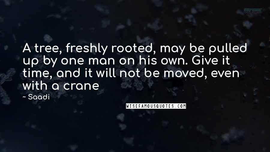 Saadi Quotes: A tree, freshly rooted, may be pulled up by one man on his own. Give it time, and it will not be moved, even with a crane