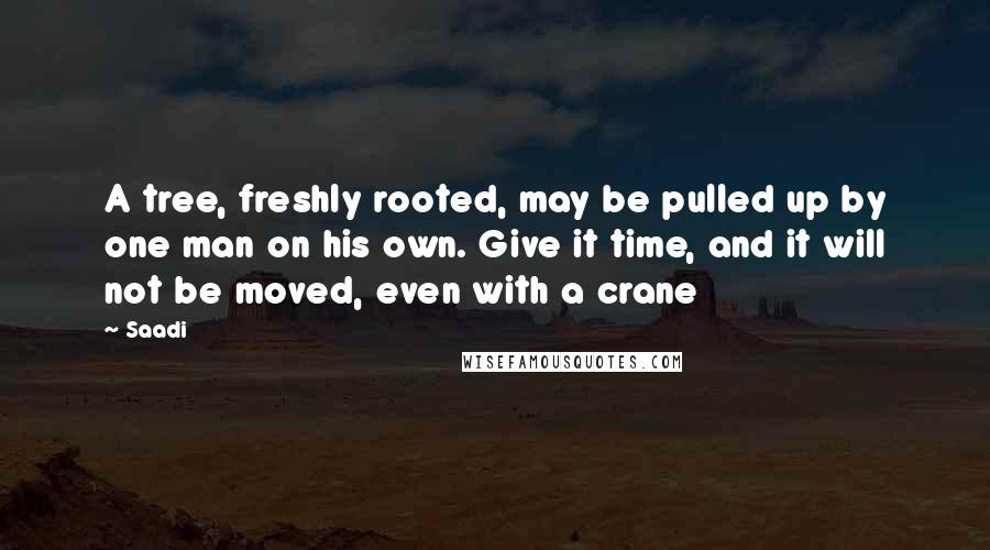 Saadi Quotes: A tree, freshly rooted, may be pulled up by one man on his own. Give it time, and it will not be moved, even with a crane