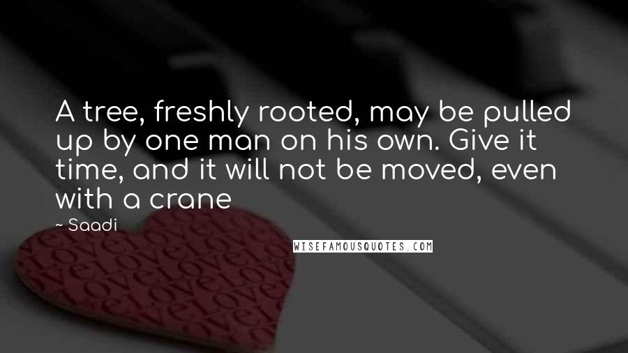 Saadi Quotes: A tree, freshly rooted, may be pulled up by one man on his own. Give it time, and it will not be moved, even with a crane