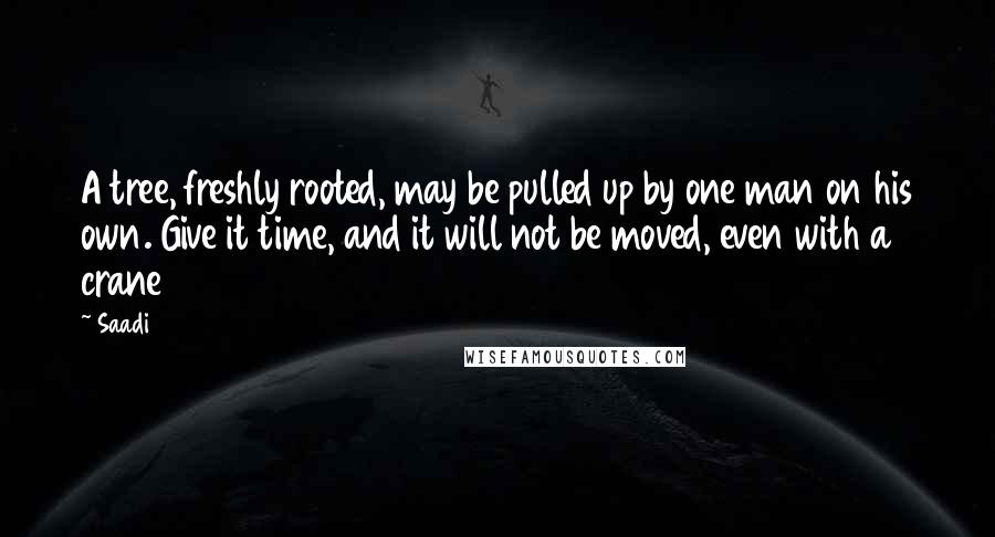 Saadi Quotes: A tree, freshly rooted, may be pulled up by one man on his own. Give it time, and it will not be moved, even with a crane