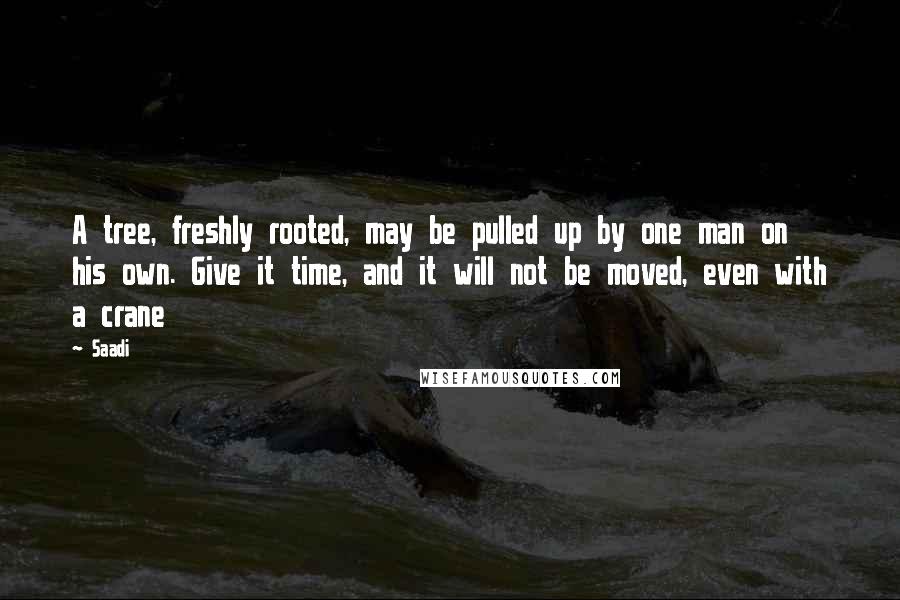 Saadi Quotes: A tree, freshly rooted, may be pulled up by one man on his own. Give it time, and it will not be moved, even with a crane