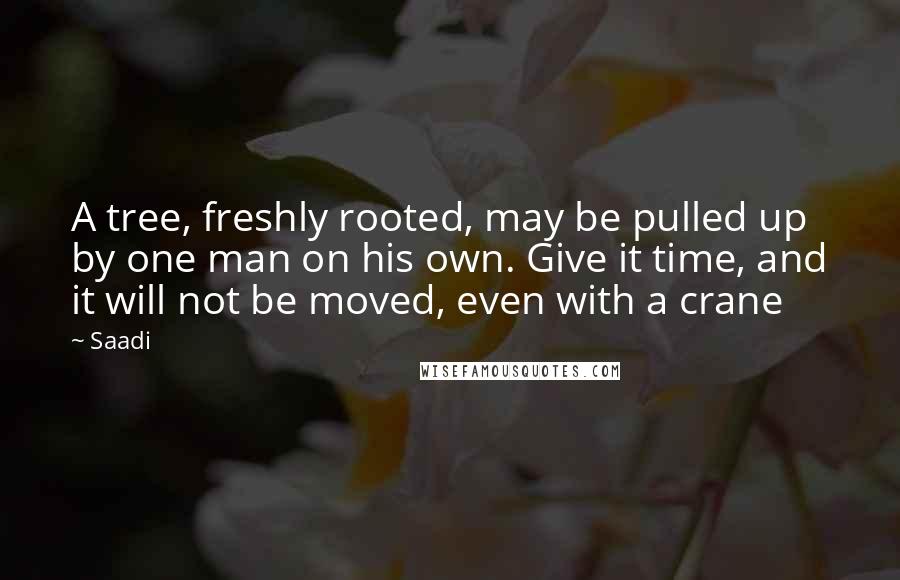 Saadi Quotes: A tree, freshly rooted, may be pulled up by one man on his own. Give it time, and it will not be moved, even with a crane