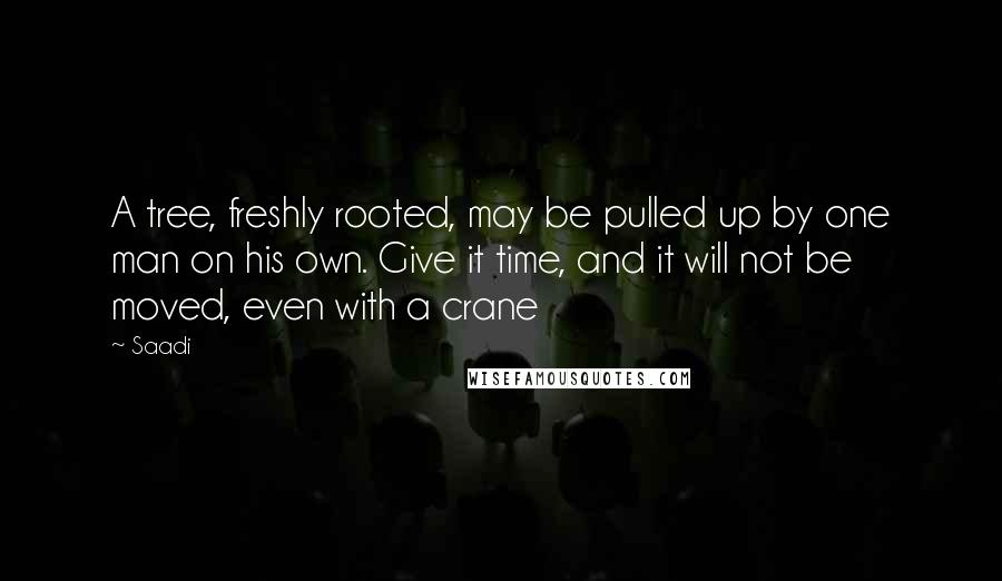 Saadi Quotes: A tree, freshly rooted, may be pulled up by one man on his own. Give it time, and it will not be moved, even with a crane