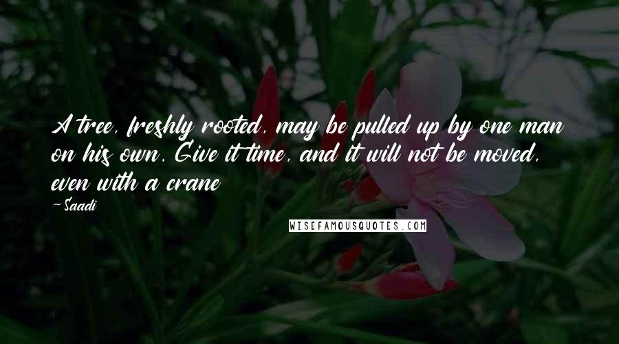 Saadi Quotes: A tree, freshly rooted, may be pulled up by one man on his own. Give it time, and it will not be moved, even with a crane