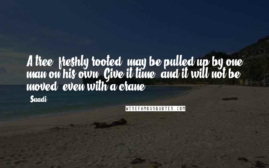 Saadi Quotes: A tree, freshly rooted, may be pulled up by one man on his own. Give it time, and it will not be moved, even with a crane