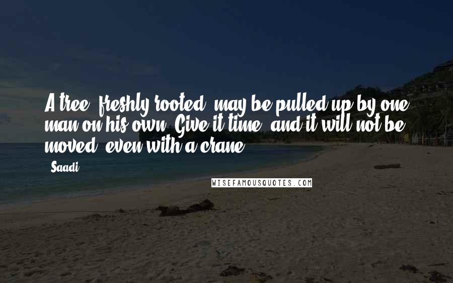 Saadi Quotes: A tree, freshly rooted, may be pulled up by one man on his own. Give it time, and it will not be moved, even with a crane