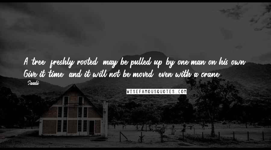 Saadi Quotes: A tree, freshly rooted, may be pulled up by one man on his own. Give it time, and it will not be moved, even with a crane