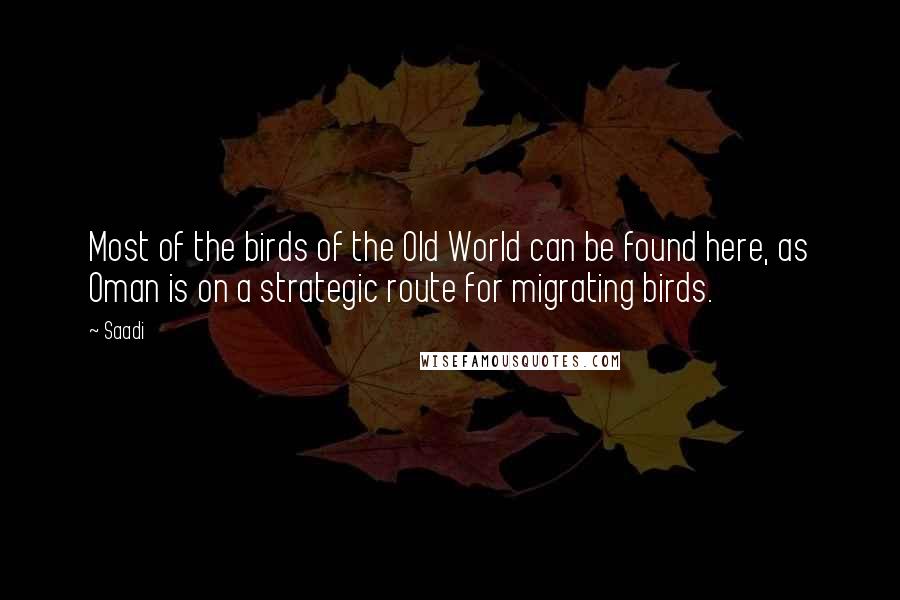 Saadi Quotes: Most of the birds of the Old World can be found here, as Oman is on a strategic route for migrating birds.