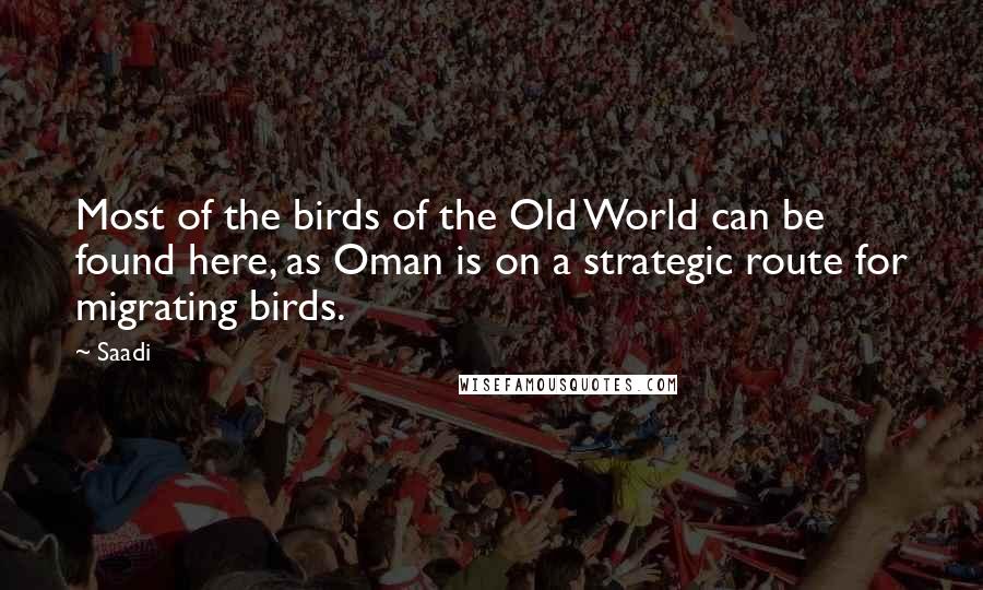 Saadi Quotes: Most of the birds of the Old World can be found here, as Oman is on a strategic route for migrating birds.