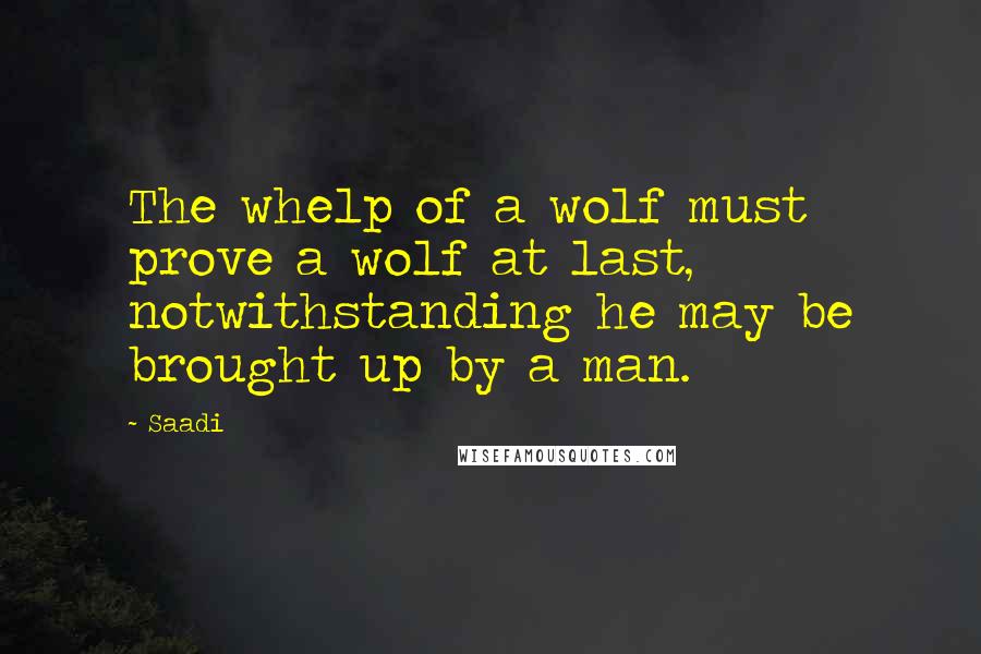 Saadi Quotes: The whelp of a wolf must prove a wolf at last, notwithstanding he may be brought up by a man.