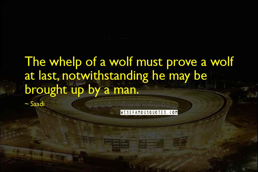 Saadi Quotes: The whelp of a wolf must prove a wolf at last, notwithstanding he may be brought up by a man.