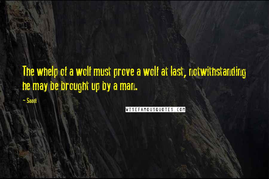 Saadi Quotes: The whelp of a wolf must prove a wolf at last, notwithstanding he may be brought up by a man.