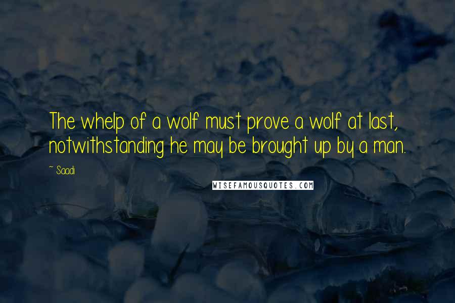 Saadi Quotes: The whelp of a wolf must prove a wolf at last, notwithstanding he may be brought up by a man.