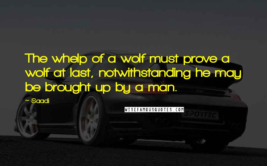 Saadi Quotes: The whelp of a wolf must prove a wolf at last, notwithstanding he may be brought up by a man.