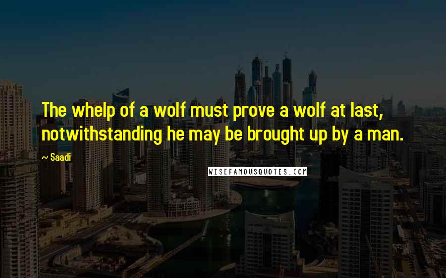 Saadi Quotes: The whelp of a wolf must prove a wolf at last, notwithstanding he may be brought up by a man.