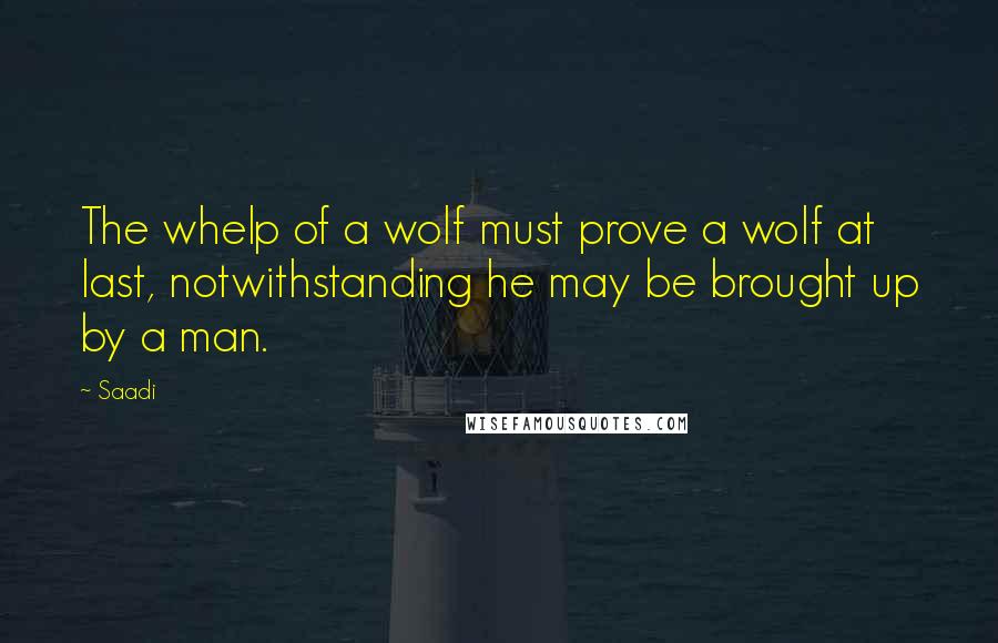 Saadi Quotes: The whelp of a wolf must prove a wolf at last, notwithstanding he may be brought up by a man.