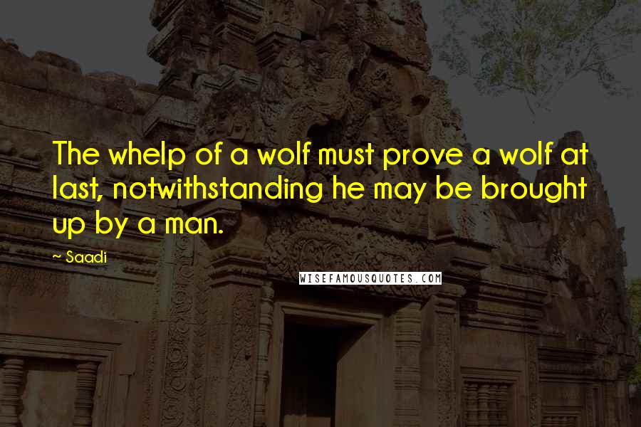 Saadi Quotes: The whelp of a wolf must prove a wolf at last, notwithstanding he may be brought up by a man.