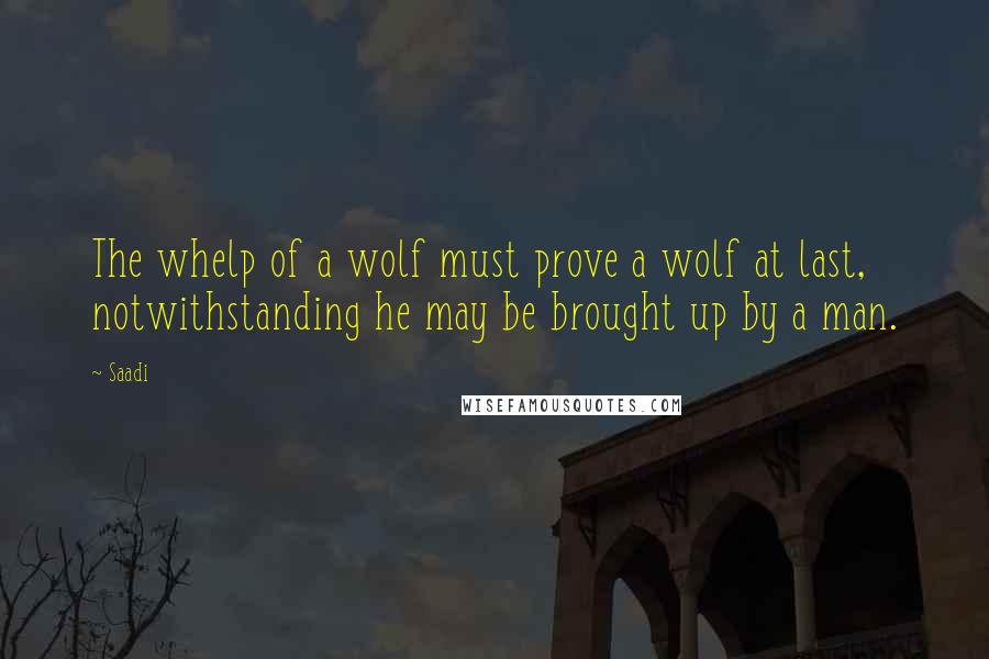 Saadi Quotes: The whelp of a wolf must prove a wolf at last, notwithstanding he may be brought up by a man.