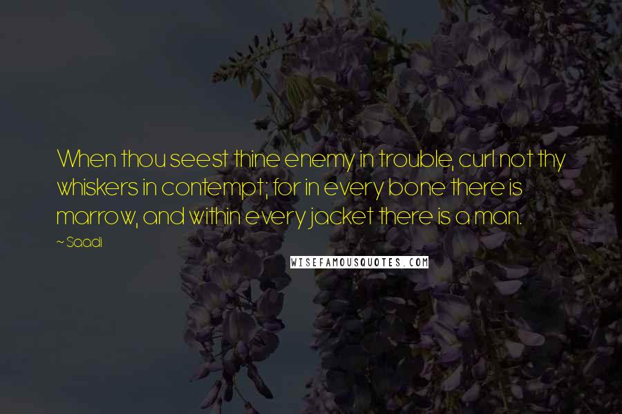 Saadi Quotes: When thou seest thine enemy in trouble, curl not thy whiskers in contempt; for in every bone there is marrow, and within every jacket there is a man.
