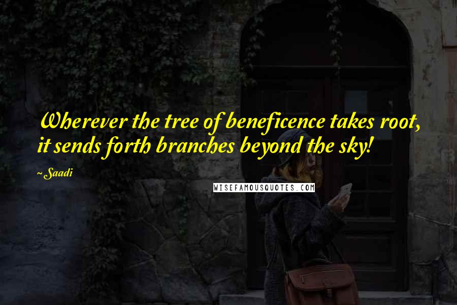 Saadi Quotes: Wherever the tree of beneficence takes root, it sends forth branches beyond the sky!