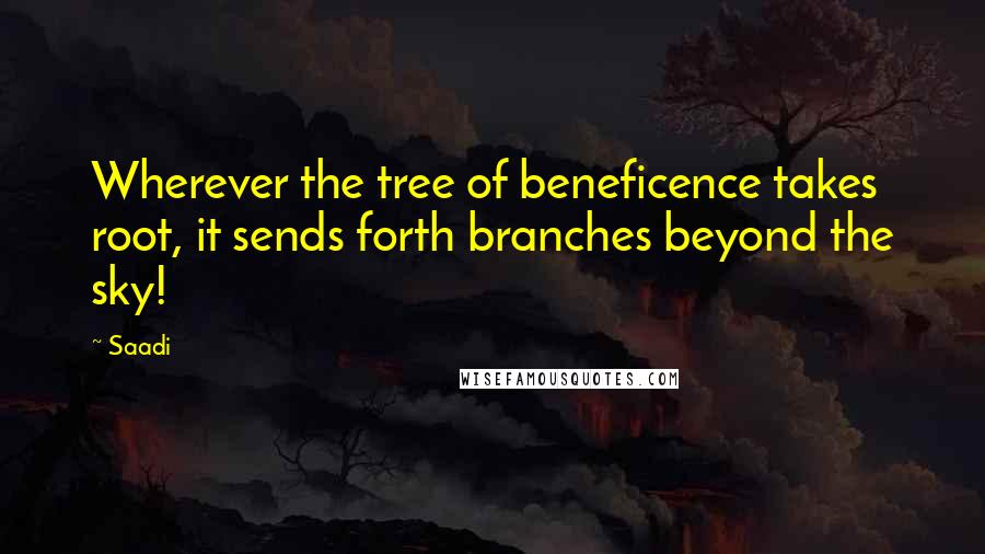 Saadi Quotes: Wherever the tree of beneficence takes root, it sends forth branches beyond the sky!