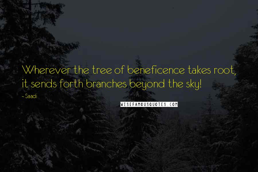 Saadi Quotes: Wherever the tree of beneficence takes root, it sends forth branches beyond the sky!