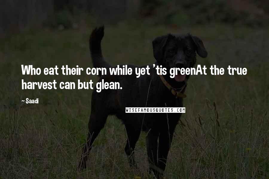 Saadi Quotes: Who eat their corn while yet 'tis greenAt the true harvest can but glean.