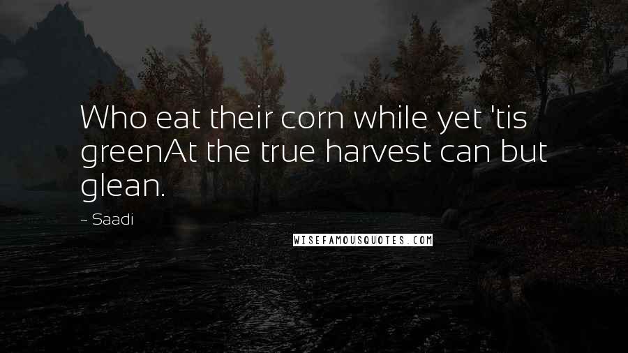Saadi Quotes: Who eat their corn while yet 'tis greenAt the true harvest can but glean.