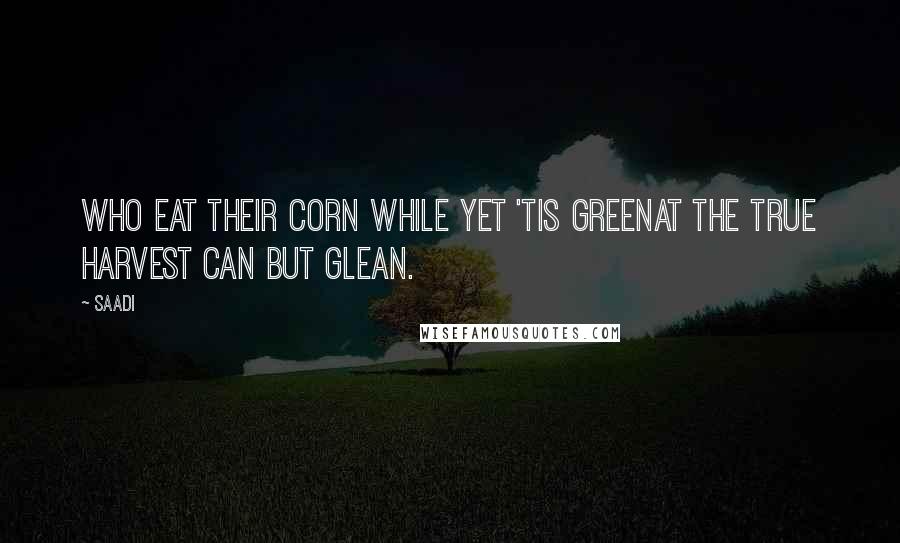 Saadi Quotes: Who eat their corn while yet 'tis greenAt the true harvest can but glean.