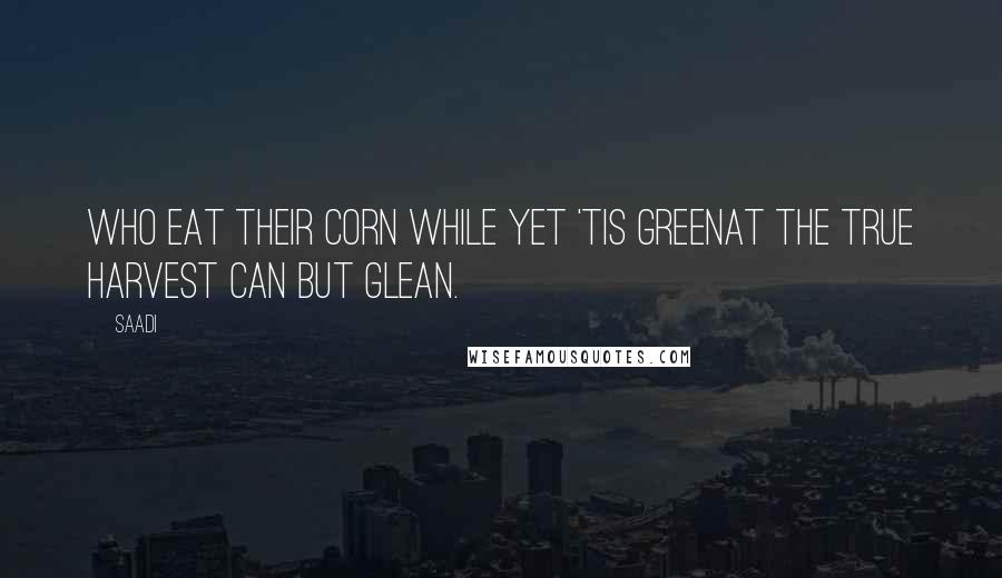 Saadi Quotes: Who eat their corn while yet 'tis greenAt the true harvest can but glean.