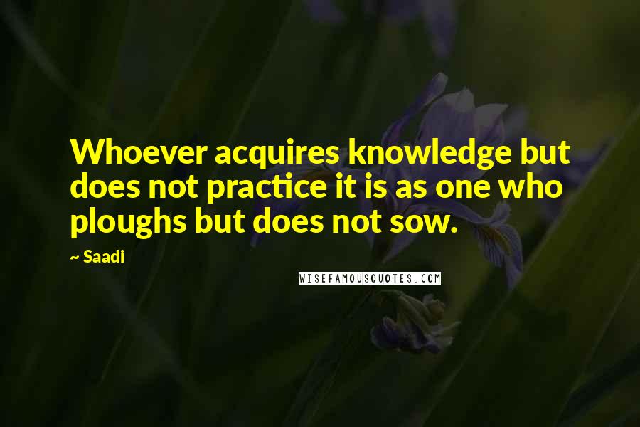 Saadi Quotes: Whoever acquires knowledge but does not practice it is as one who ploughs but does not sow.