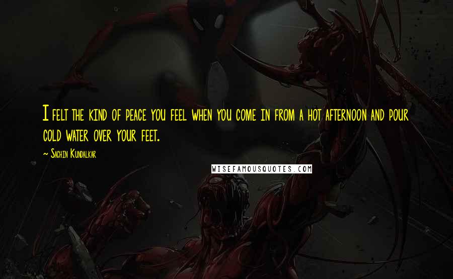 Sachin Kundalkar Quotes: I felt the kind of peace you feel when you come in from a hot afternoon and pour cold water over your feet.