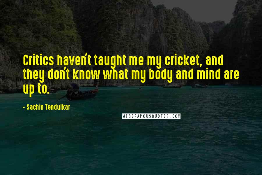 Sachin Tendulkar Quotes: Critics haven't taught me my cricket, and they don't know what my body and mind are up to.