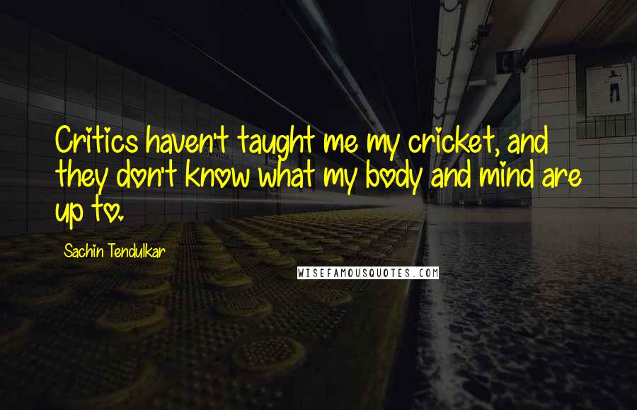 Sachin Tendulkar Quotes: Critics haven't taught me my cricket, and they don't know what my body and mind are up to.