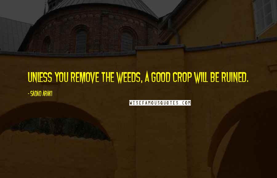 Sadao Araki Quotes: Unless you remove the weeds, a good crop will be ruined.