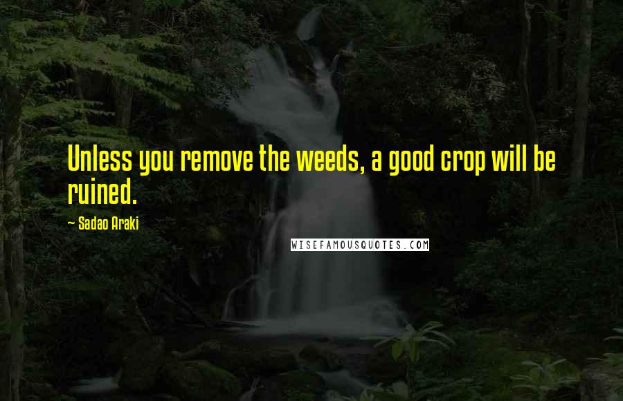 Sadao Araki Quotes: Unless you remove the weeds, a good crop will be ruined.