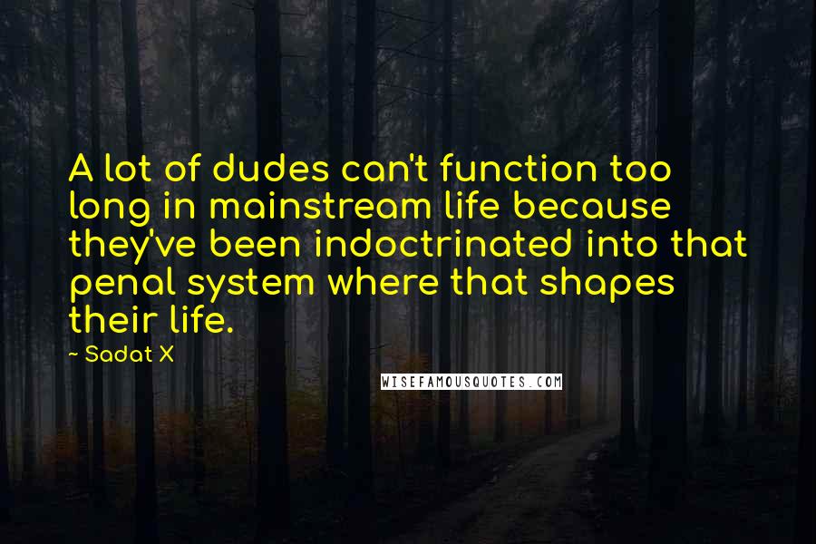 Sadat X Quotes: A lot of dudes can't function too long in mainstream life because they've been indoctrinated into that penal system where that shapes their life.