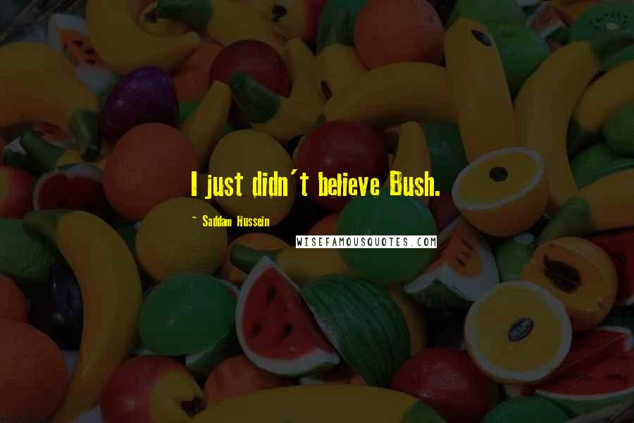 Saddam Hussein Quotes: I just didn't believe Bush.